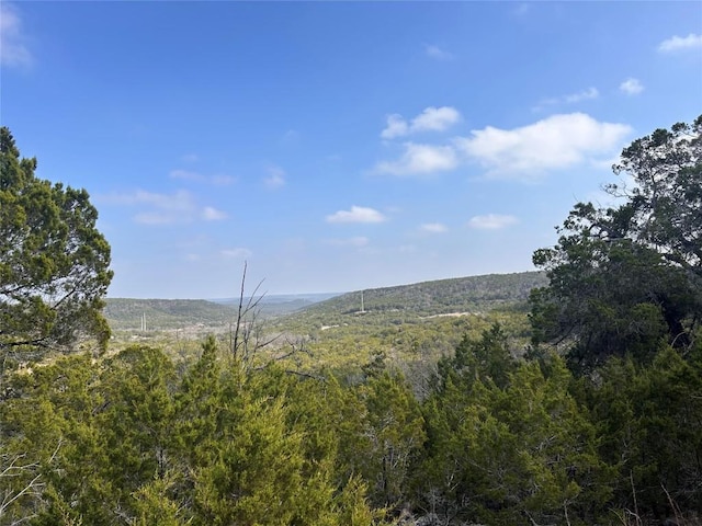 8615 Bar K Ranch Rd, Lago Vista TX, 78645 land for sale