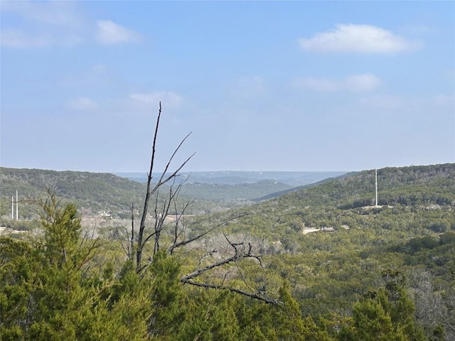 Listing photo 2 for 8615 Bar K Ranch Rd, Lago Vista TX 78645