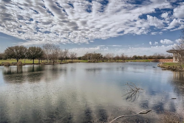 1200 E 52nd St Unit 108, Austin, TX 78723 - water view