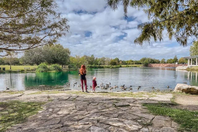 property view of water