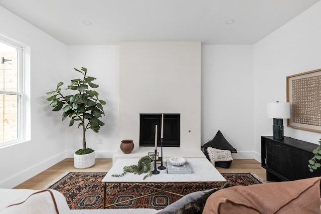 living room with hardwood / wood-style floors