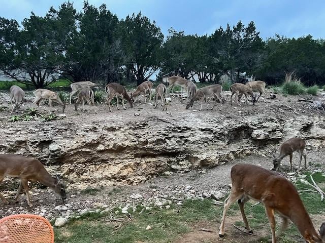 4067 Outpost Trce, Lago Vista, TX 78645 - view of undeveloped land