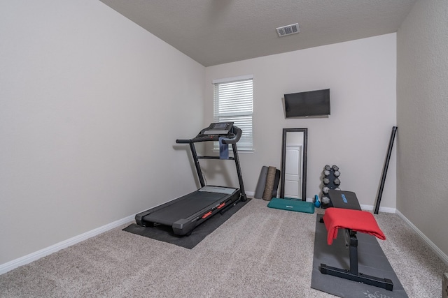 exercise area featuring lofted ceiling, carpet flooring, and a textured ceiling