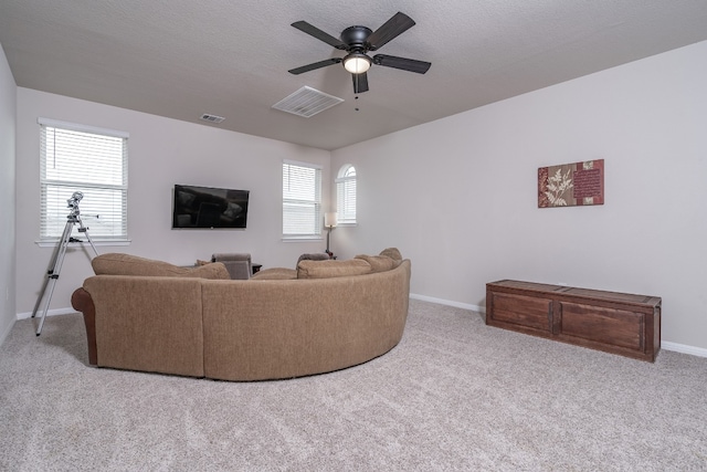 4121 Buffalo Ford Rd, Georgetown, TX 78628 - photo 25