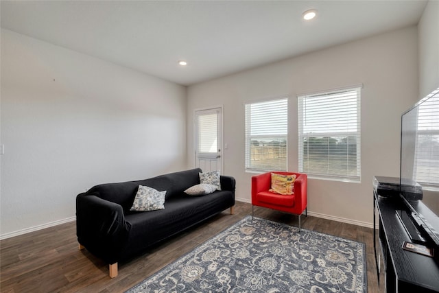 living room featuring dark wood-type flooring