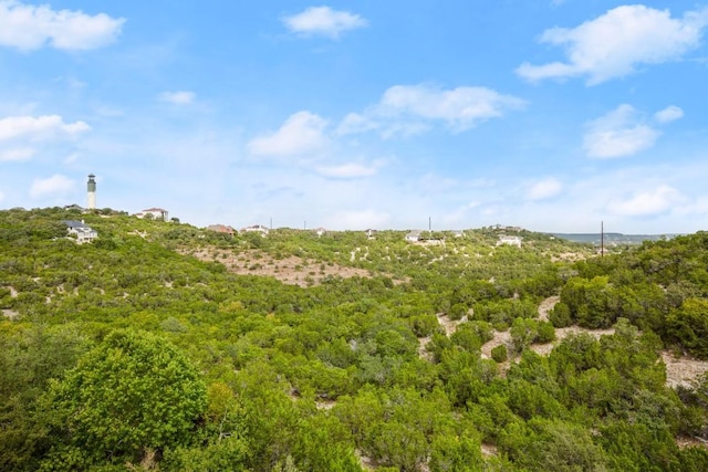 view of local wilderness