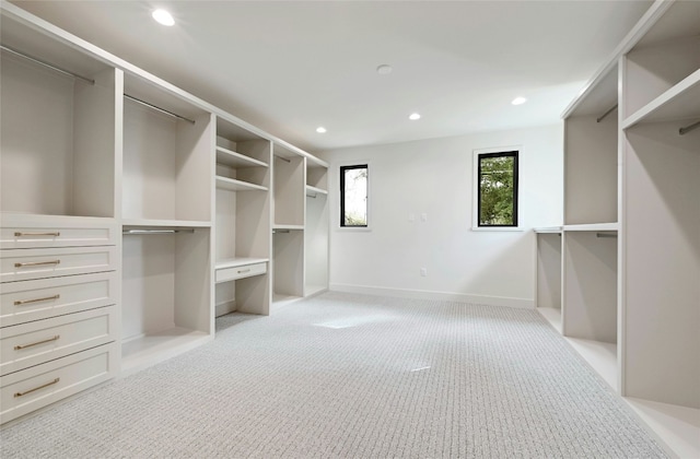 3008 W 50th St, Austin, TX 78731 - walk in closet with light carpet