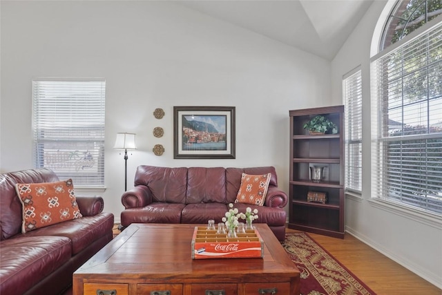 living room with lofted ceiling and light hardwood / wood-style floors