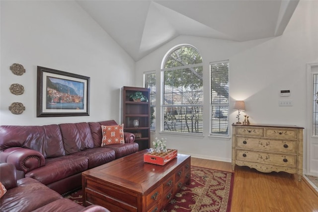 living room with lofted ceiling and light wood-type flooring