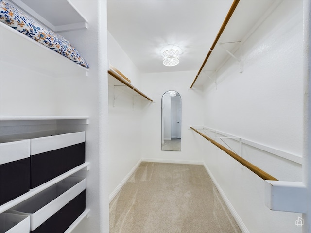 spacious closet featuring light colored carpet