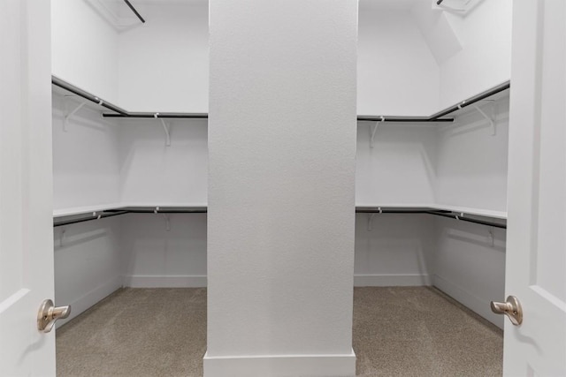 spacious closet featuring light carpet