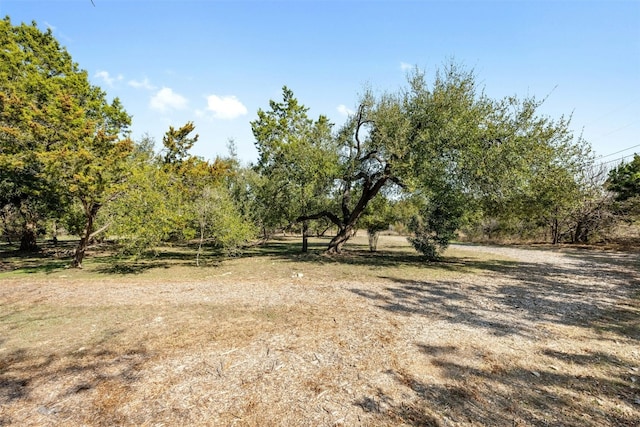 view of landscape featuring a rural view