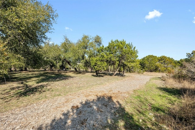 view of nature with a rural view