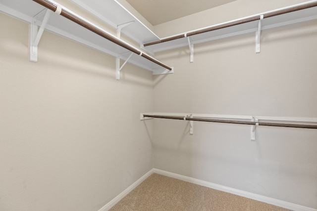 walk in closet with carpet flooring