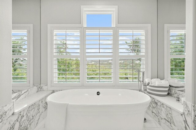 bathroom featuring a bathing tub