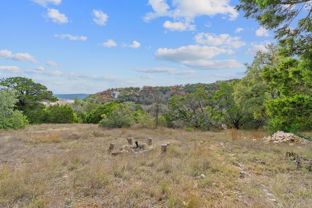 view of local wilderness featuring a rural view