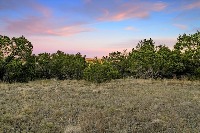 view of nature at dusk