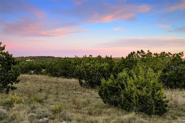 1001 Springlake Dr, Dripping Springs, TX 78620 - view of local wilderness