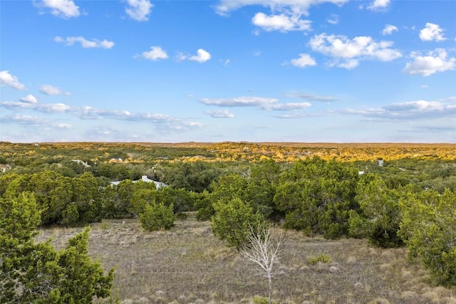 view of nature