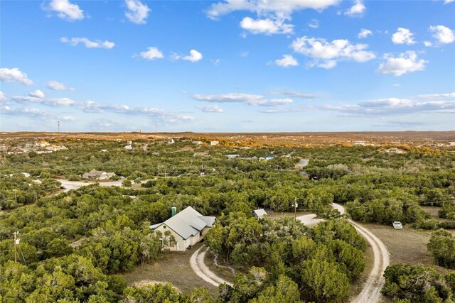 1001 Springlake Dr, Dripping Springs, TX 78620 - bird's eye view of a forest