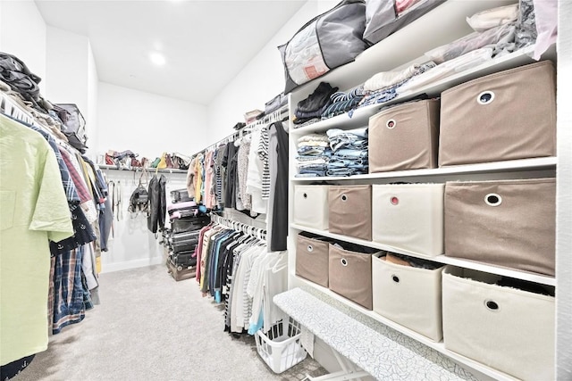 spacious closet with light colored carpet