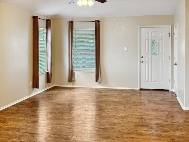 foyer featuring hardwood / wood-style floors and ceiling fan