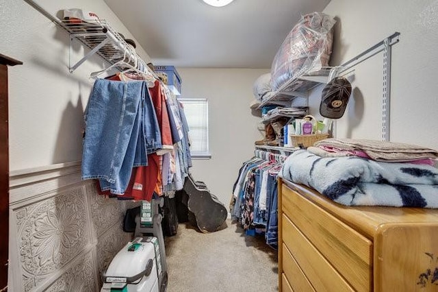 spacious closet featuring carpet flooring