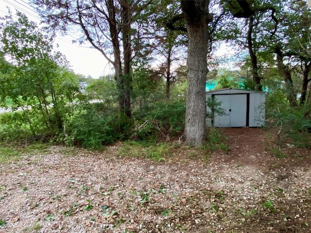 view of yard featuring a storage unit