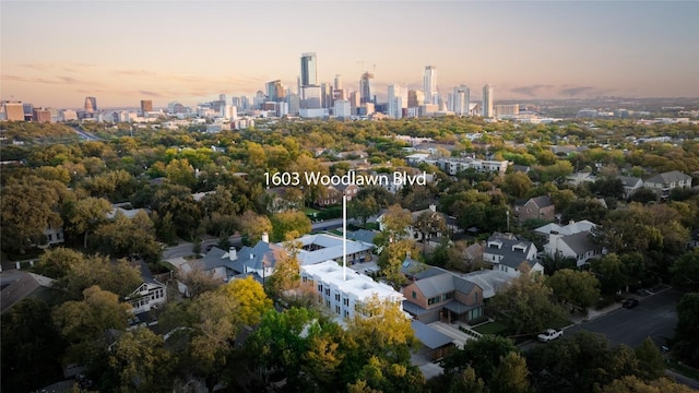 aerial view at dusk with a city view