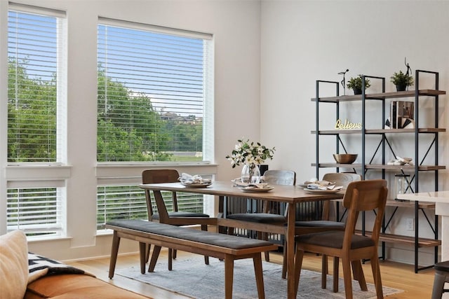 dining space featuring baseboards and wood finished floors