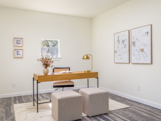 office area featuring wood-type flooring