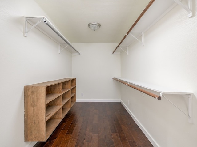 spacious closet with dark hardwood / wood-style floors