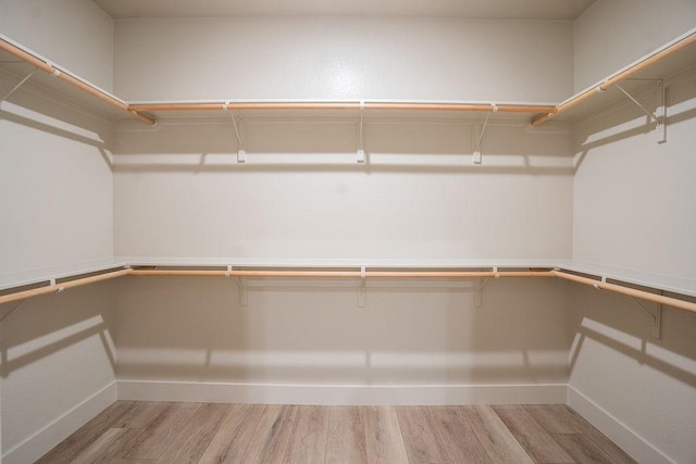 walk in closet featuring light hardwood / wood-style floors