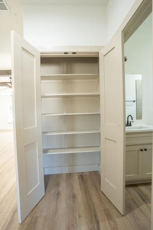 closet featuring sink