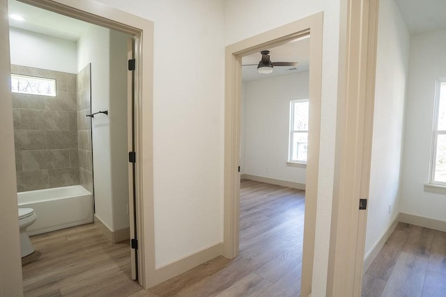 corridor featuring a wealth of natural light and light hardwood / wood-style flooring