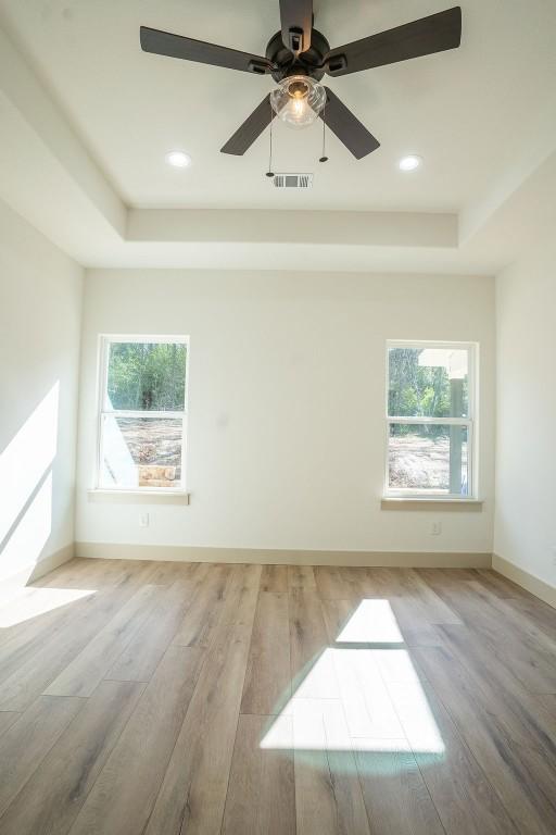 unfurnished room featuring a wealth of natural light, light wood-type flooring, and a tray ceiling