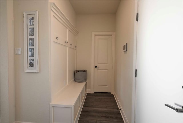 mudroom with dark wood-type flooring