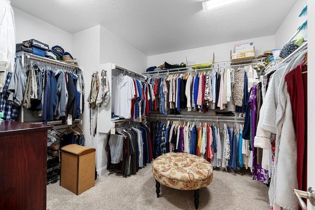 walk in closet with light carpet