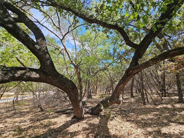 7 W El Camino Real, Wimberley TX, 78676 land for sale