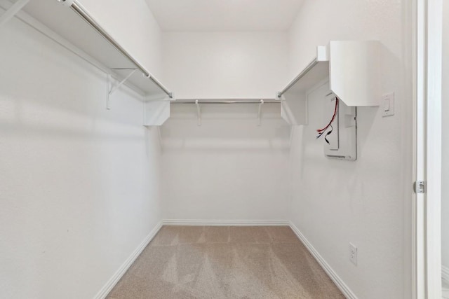 spacious closet featuring light carpet