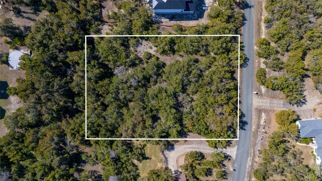 17912 Turkey Trot Trl, Dripping Springs, TX 78620 - photo 4