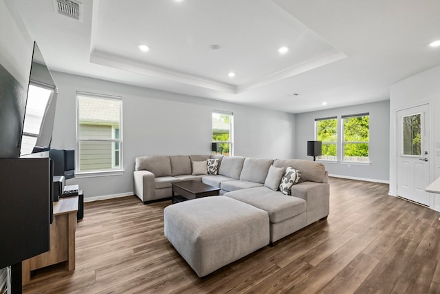 living room with hardwood / wood-style flooring, a healthy amount of sunlight, and a raised ceiling