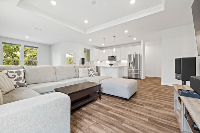 living room featuring ornamental molding, light hardwood / wood-style floors, and a raised ceiling