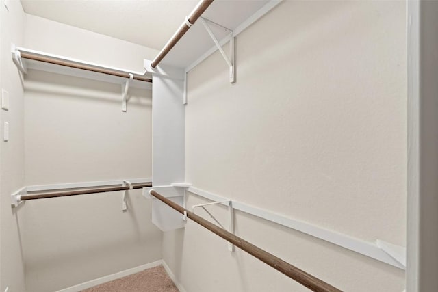 walk in closet featuring carpet flooring