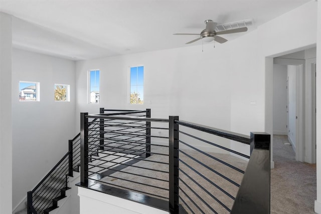 stairs featuring plenty of natural light and carpet floors