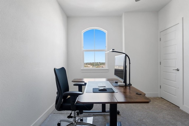 office space with light carpet