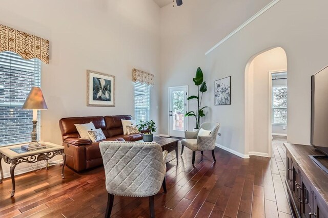 living room featuring plenty of natural light, dark hardwood / wood-style floors, and a towering ceiling