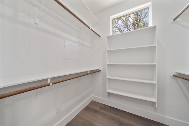 spacious closet featuring dark hardwood / wood-style floors