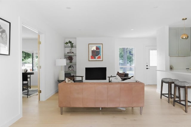 living room featuring light hardwood / wood-style floors and a healthy amount of sunlight