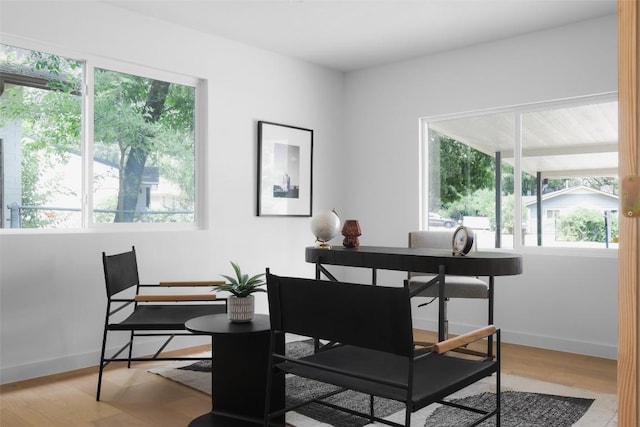 dining room with light hardwood / wood-style flooring